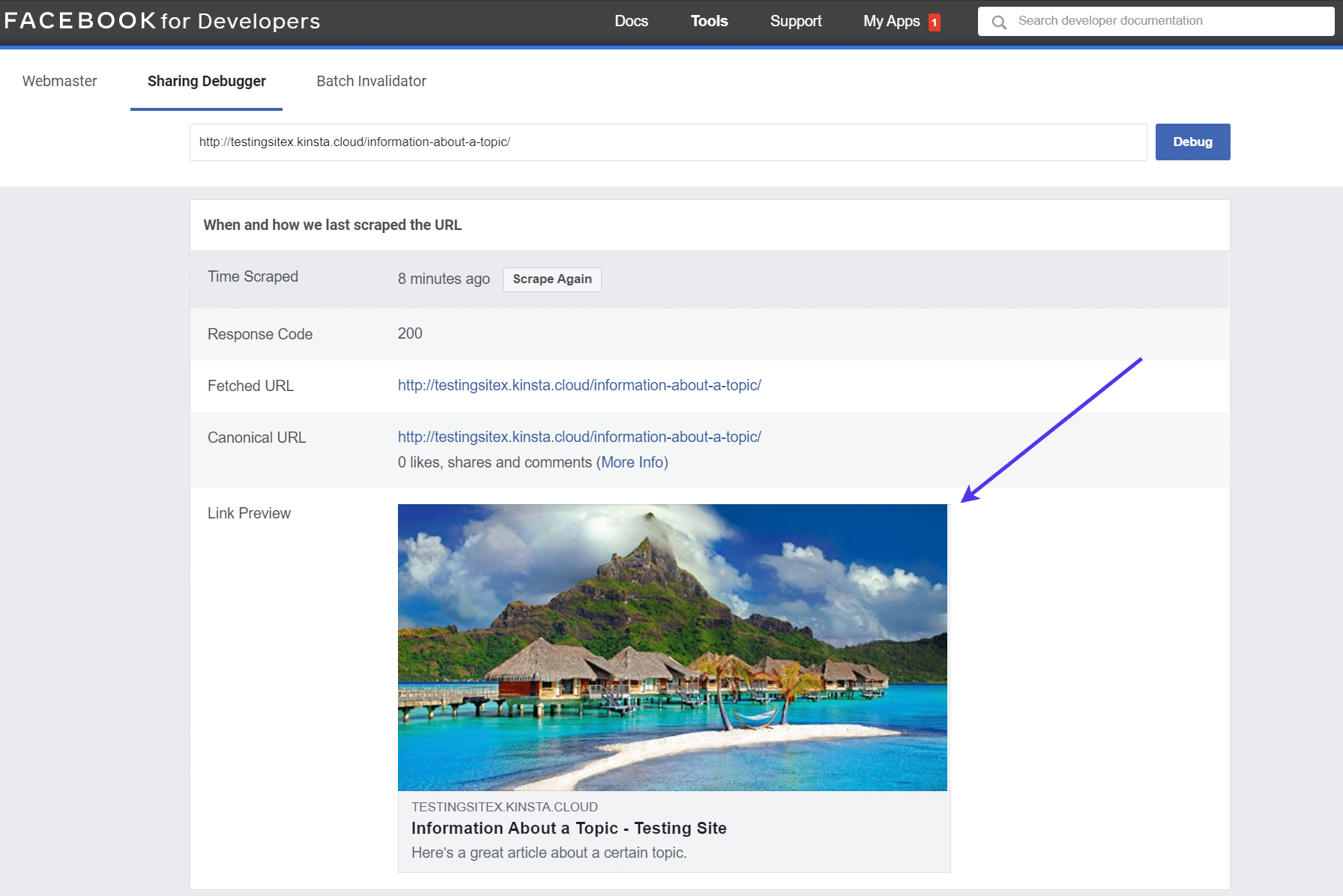 Checking the 'Link Preview' of a URL on Facebook
