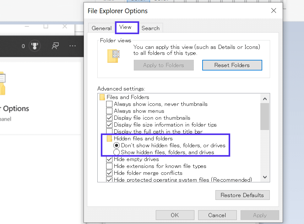 File Explorer Options toggle for showing hidden items.
