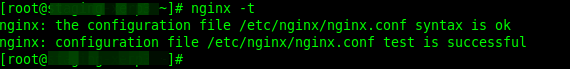 Check Nginx Configuration