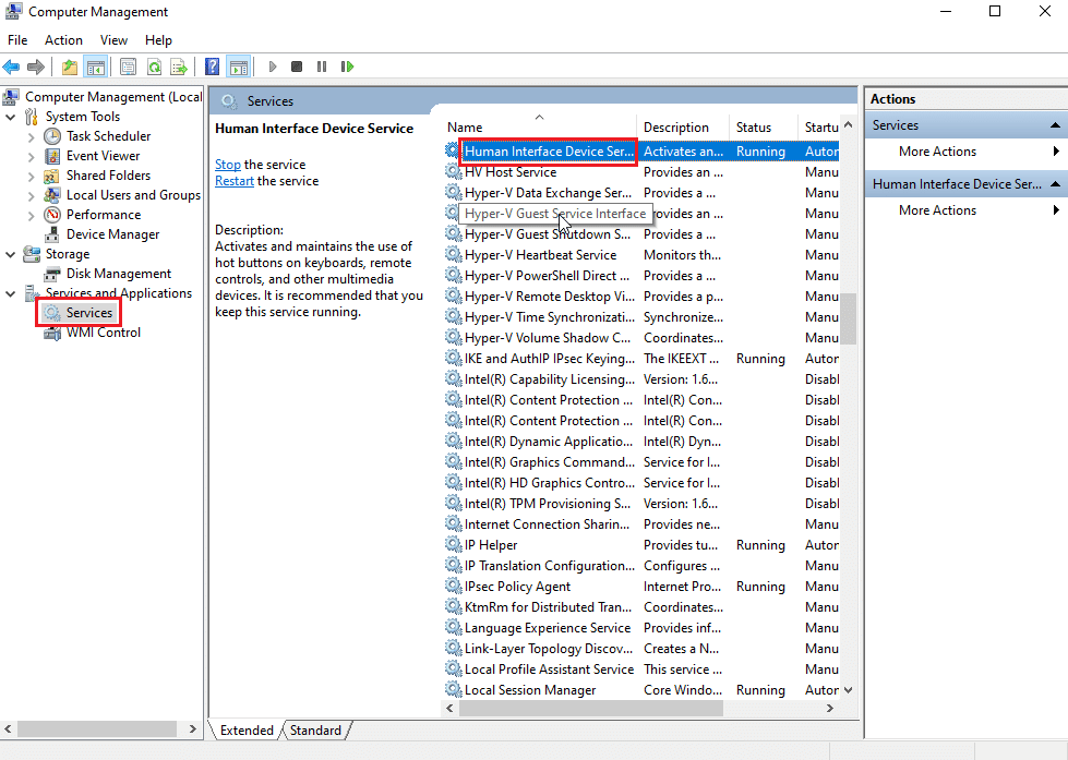 search for human interface device service and click on it