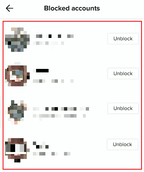 You will see your list of blocked TikTok profiles
