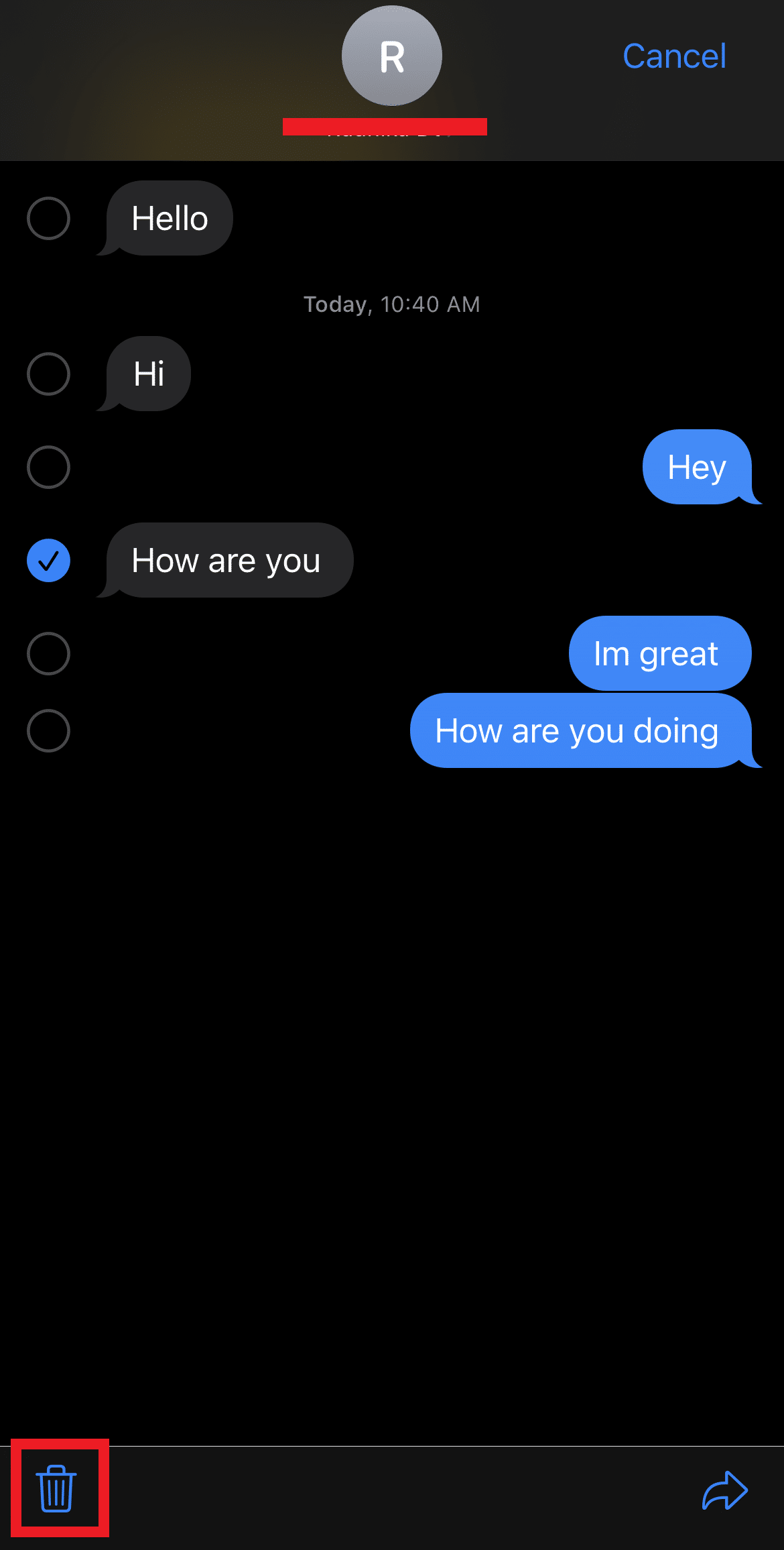 Tap the Delete icon | How to Delete Messages from iCloud