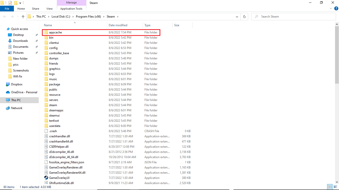 locate appcache folder