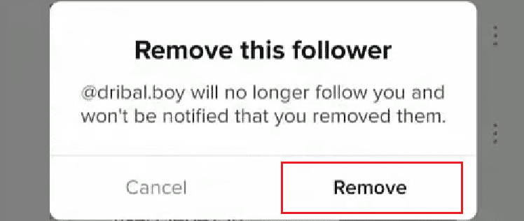Tap on Remove to confirm the process | Can You See Who Reported You on TikTok?