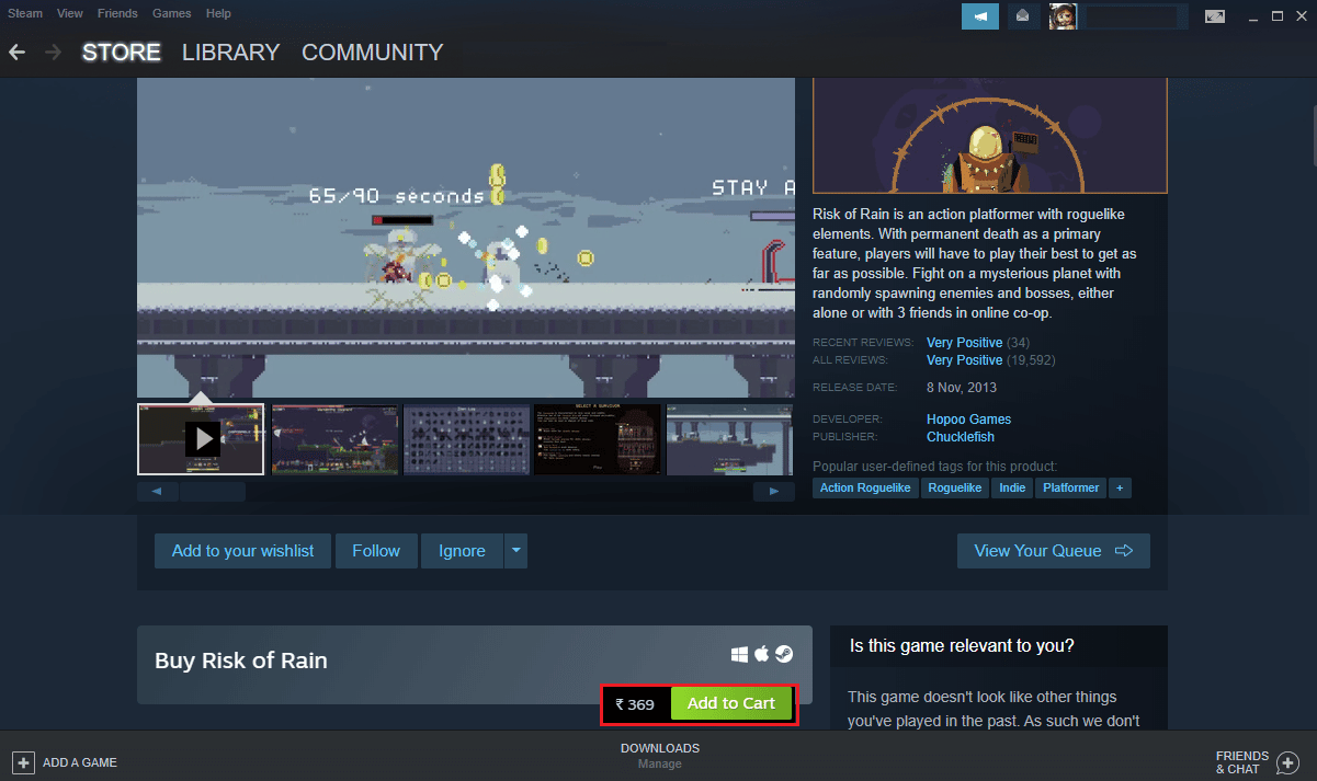 download and install risk of rain