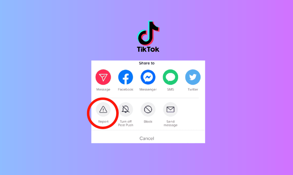 Can You See Who Reported You on TikTok?
