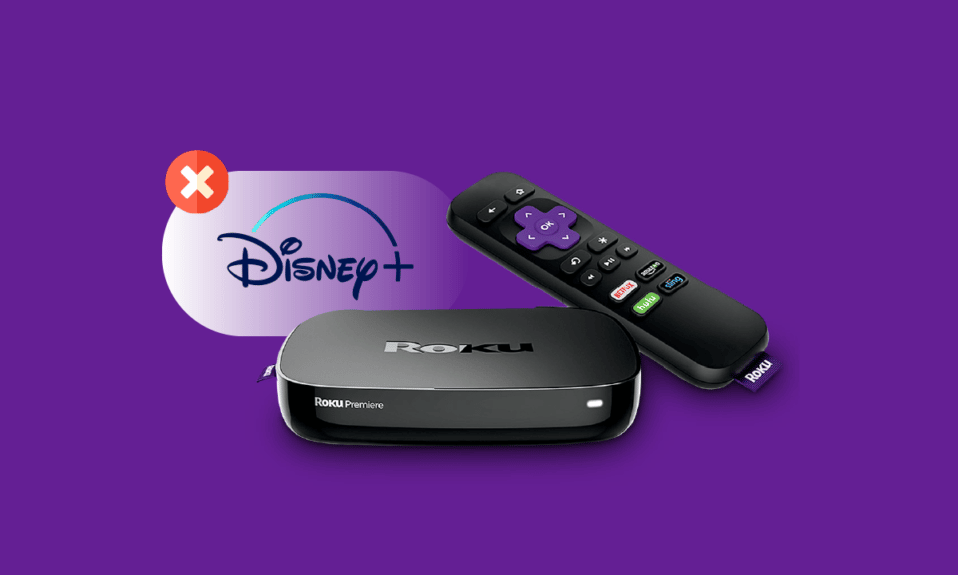 Fix Disney Plus Not Working on Roku