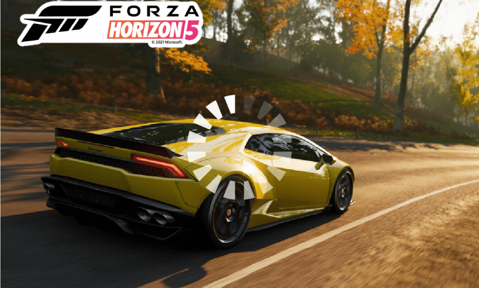 Fix Forza Horizon 5 Stuck on Loading Screen