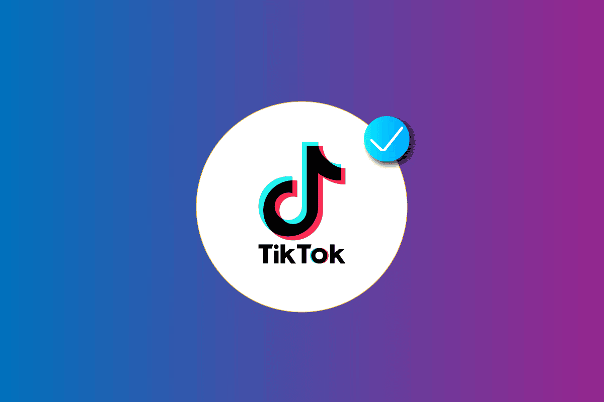 How to get verified on tiktok without followers