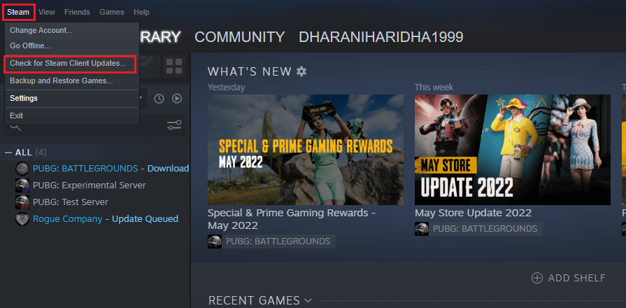 Check for Steam Client Updates… 