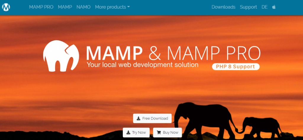 MAMP local server.
