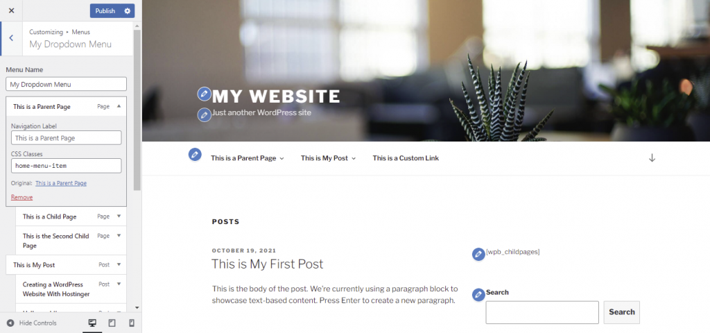 The appearance of WordPress customizer, which user can enable by activating the Live Preview mode
