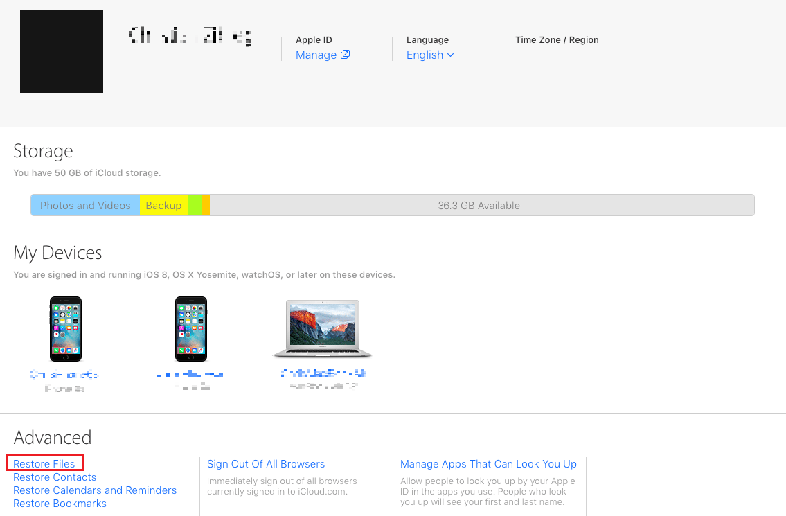 Under the Advanced section, click on Restore Files