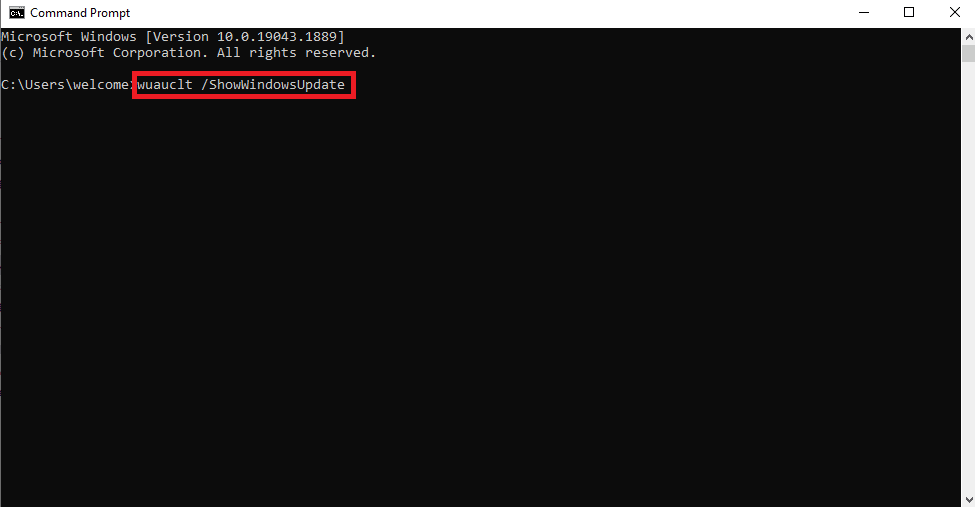 wuauclt ShowWindowsUpdate command