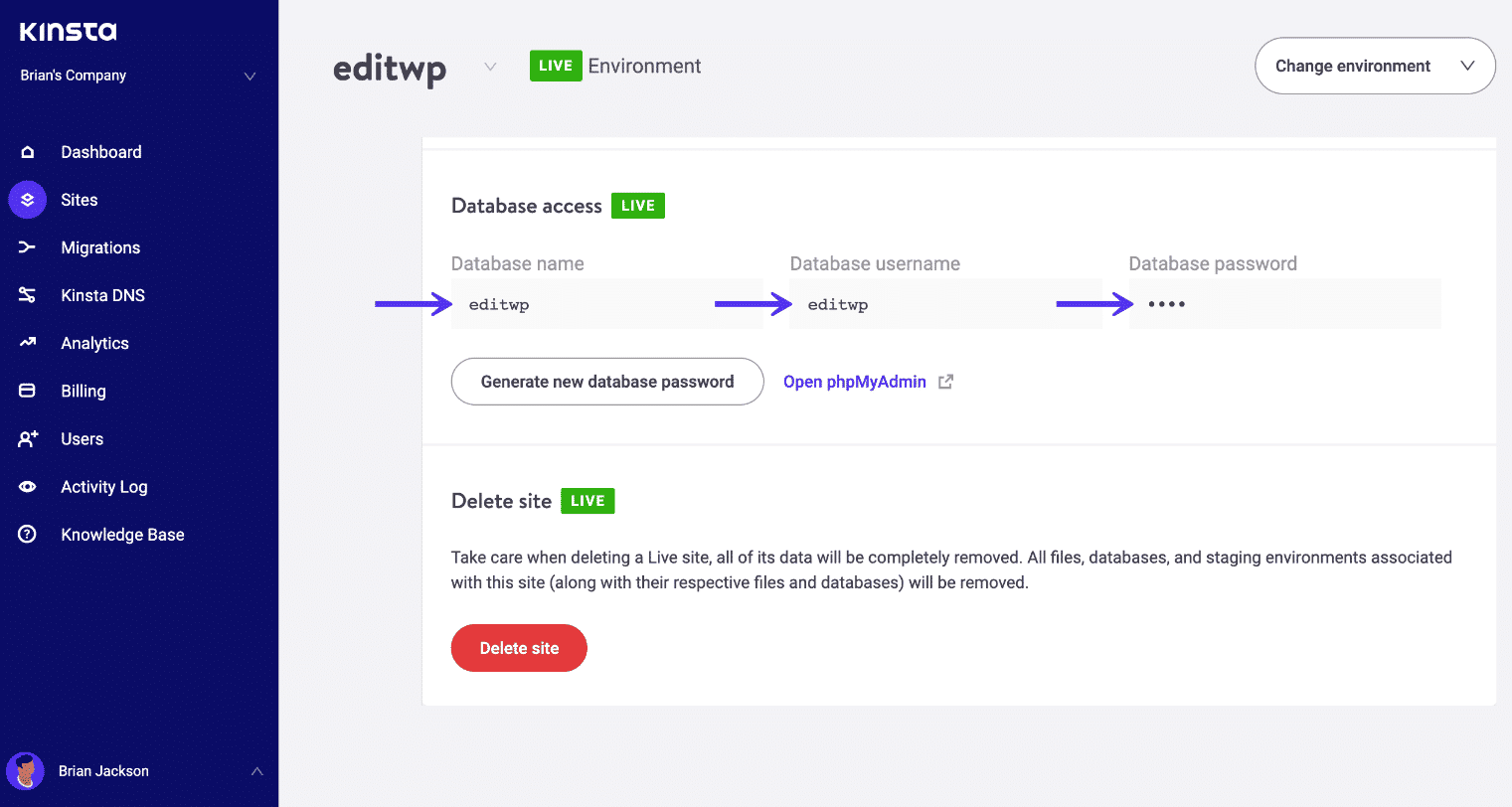 Checking the database credentials in MyKinsta.