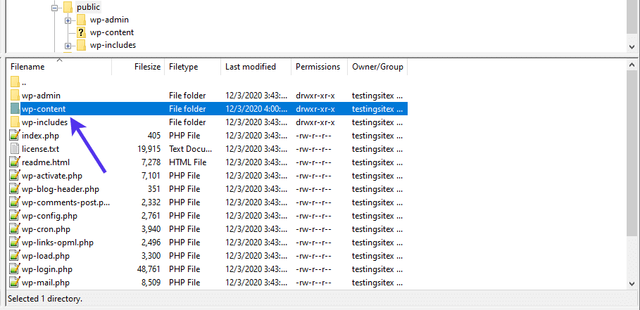 The wp-content folder contains media files.