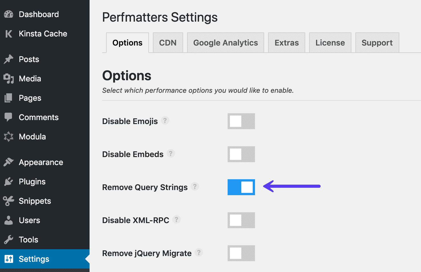 Remove query strings with Perfmatters plugin