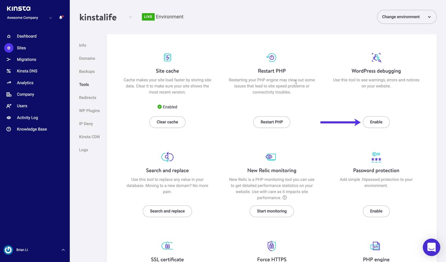Enabled debug mode in MyKinsta.