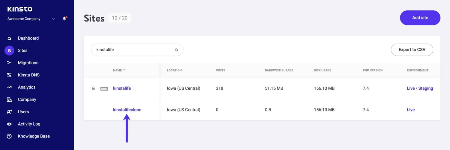 A cloned site in MyKinsta.
