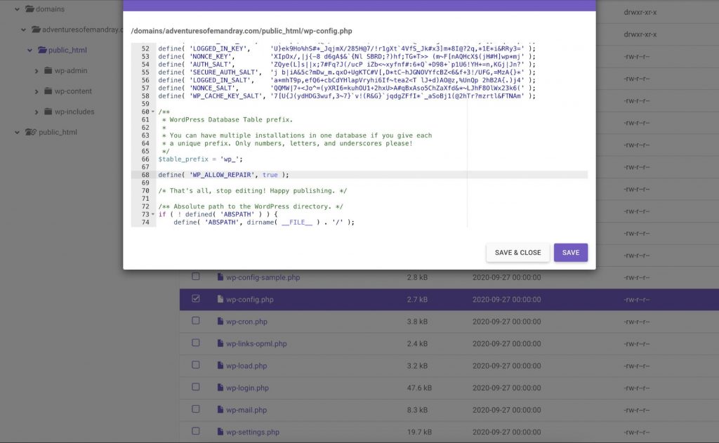 Modifying the wp-config.php file by placing a new command line