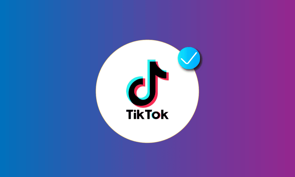 How to get verified on tiktok without followers