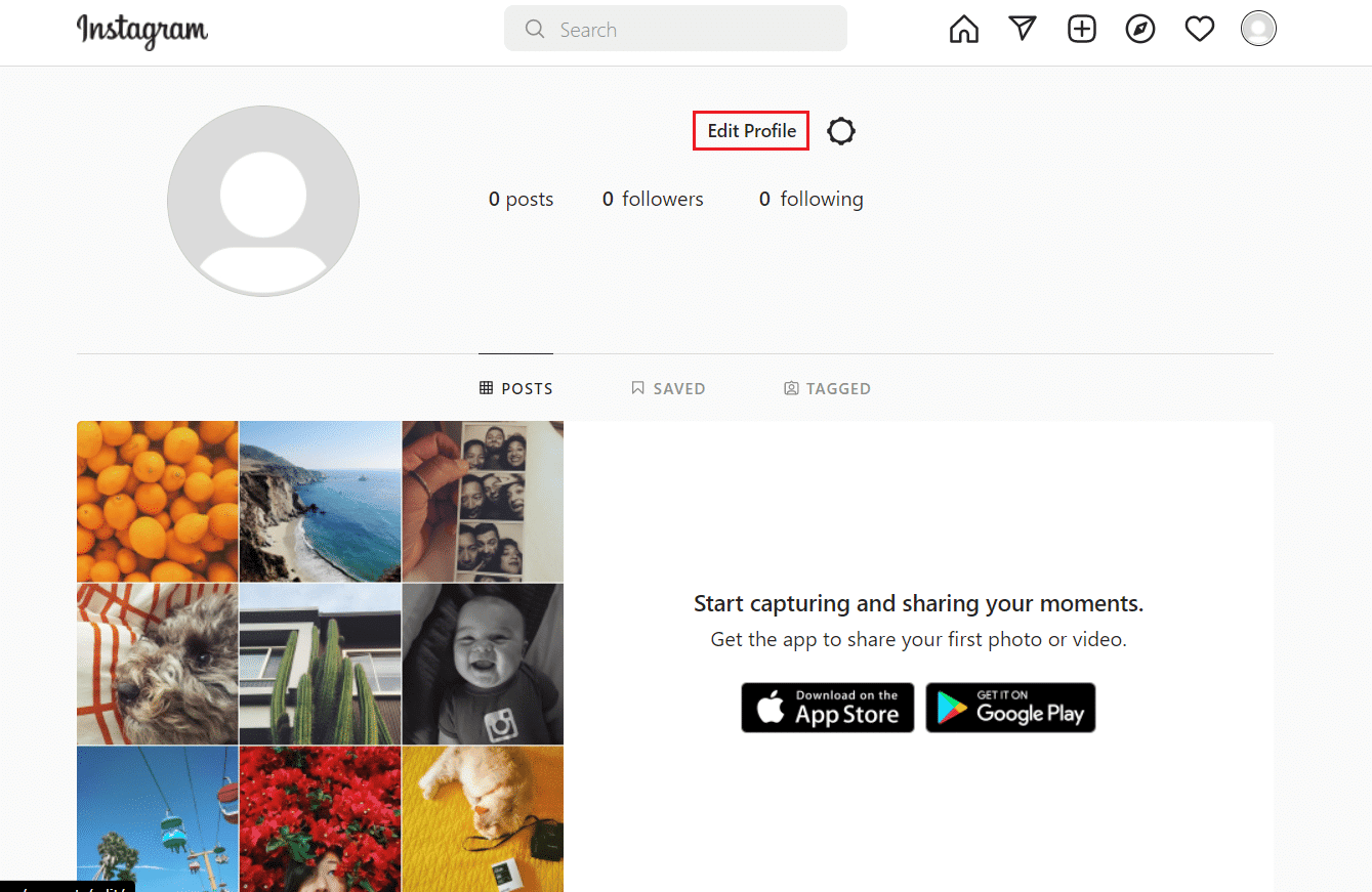 Click on the Edit Profile button