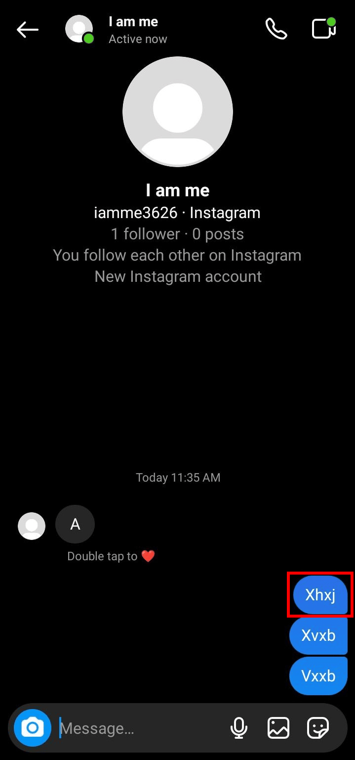 Select the message and tap and hold until the options appear | How to Delete Messages on Instagram from Both Sides