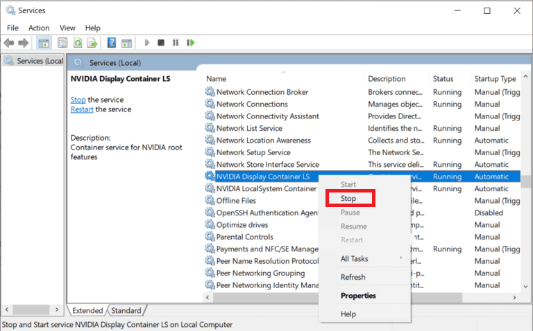 stop NVIDIA Display Container LS service