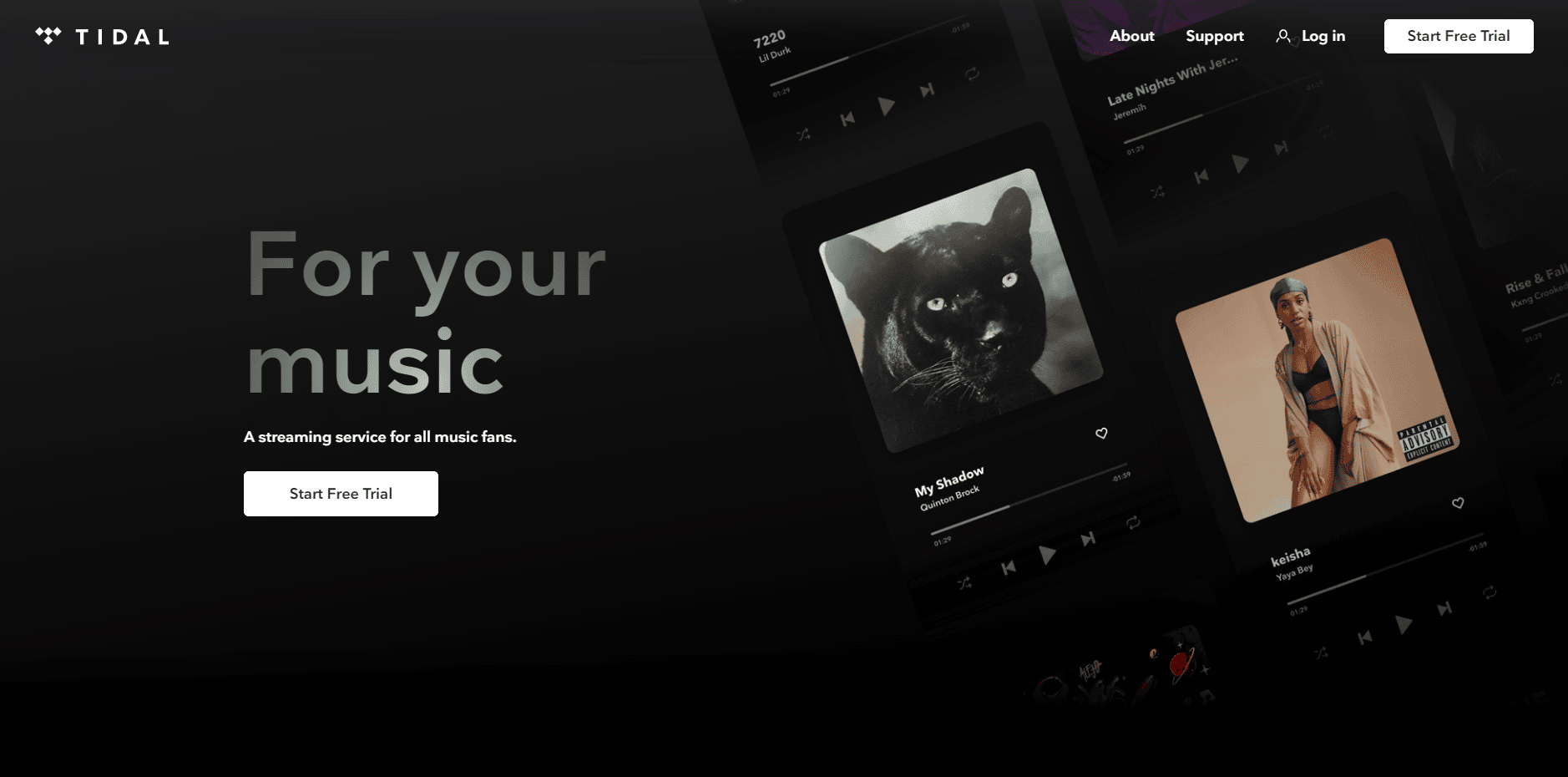 EPIX Now Tidal website