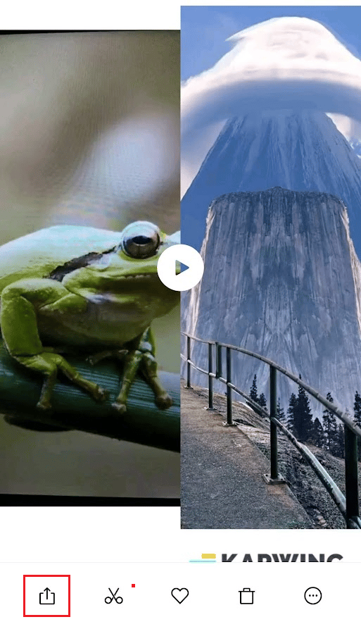 tap on the share icon