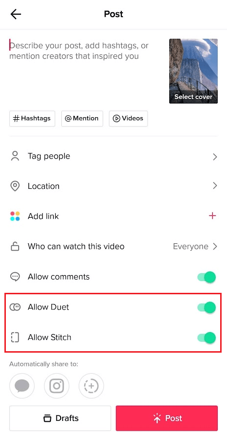 Turn on the toggles for Allow Duet and Allow Stitch