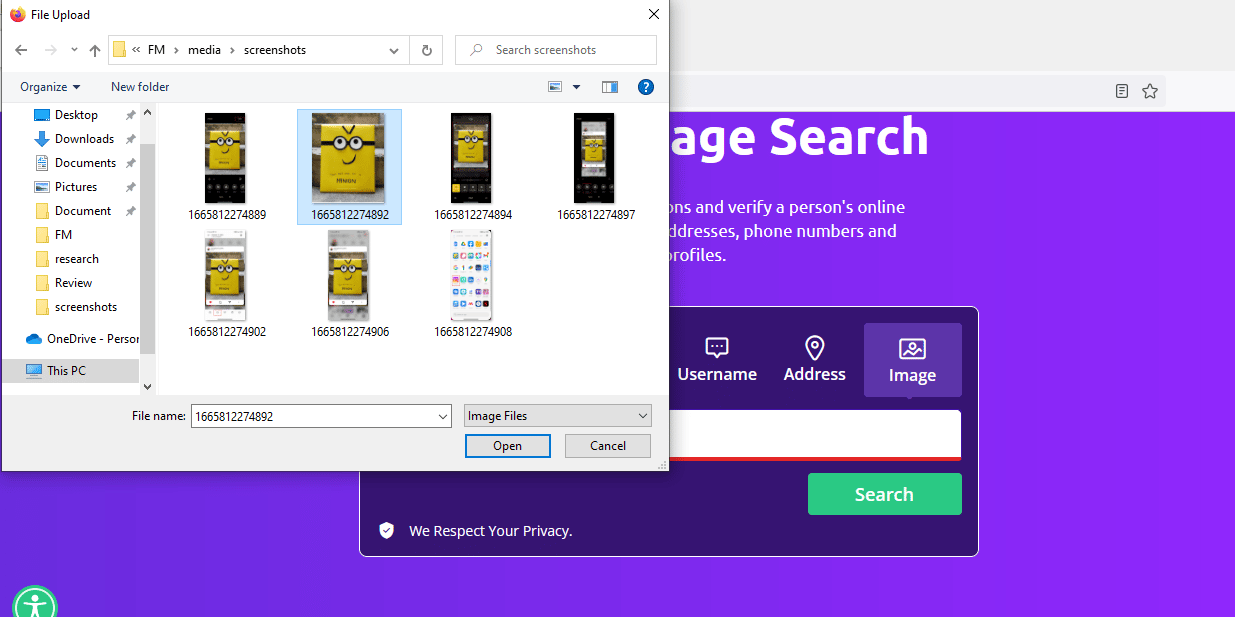 Select the required image | How to Reverse Image Search on Instagram