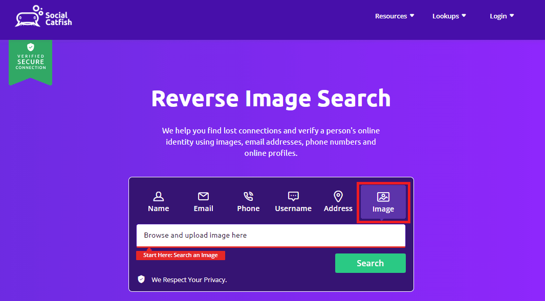 Click on the Image option