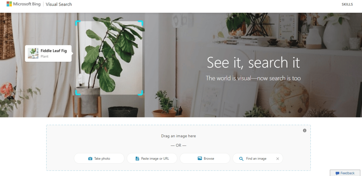Go to Microsoft’s Bing image search page