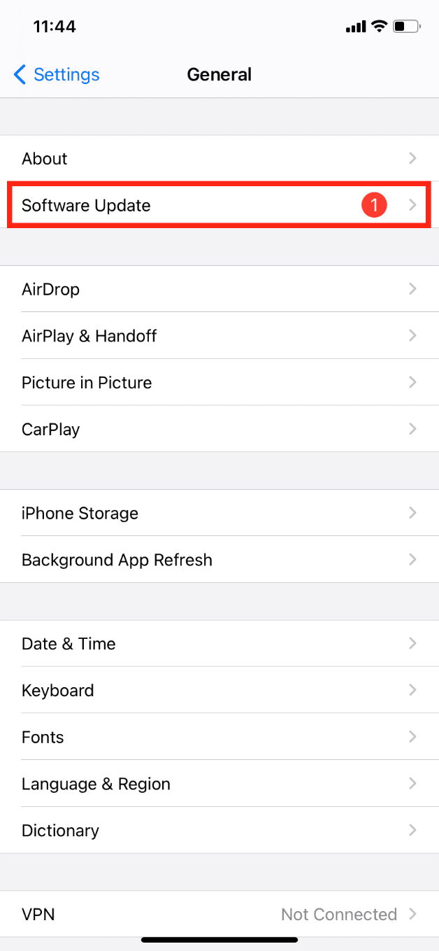 tap on Software Update