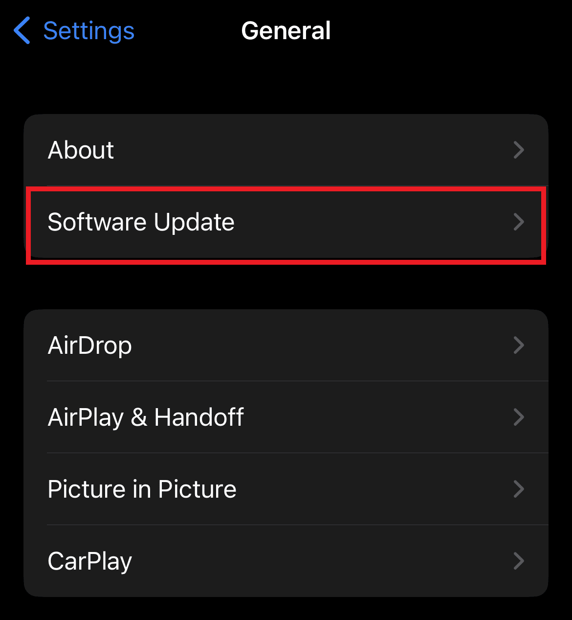 Tap on Software Update