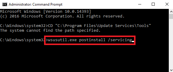 install the WSUS utility service
