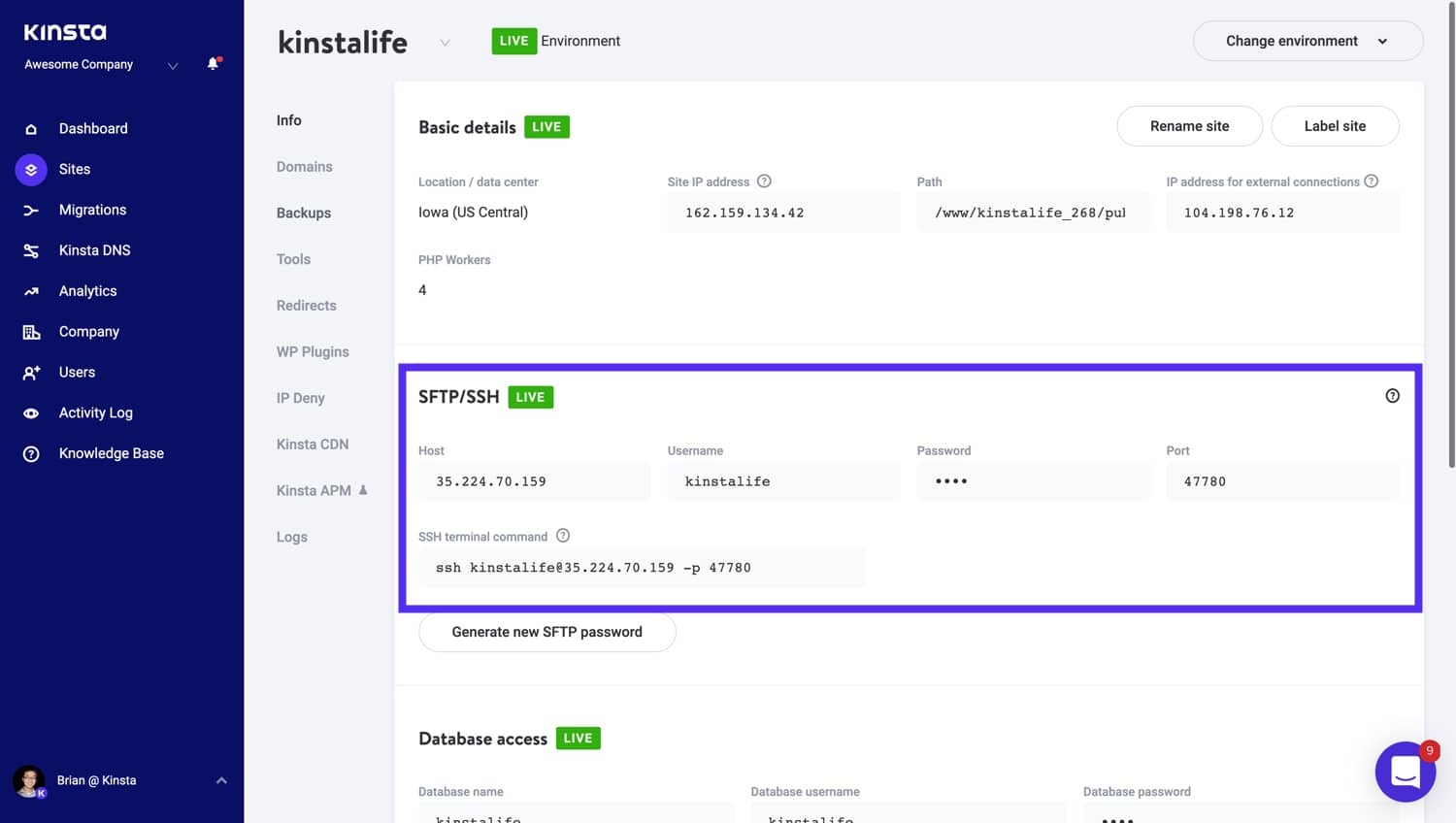 SFTP/SSH details in the MyKinsta dashboard