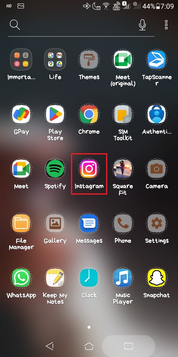 Launch Instagram from your mobile phone. 