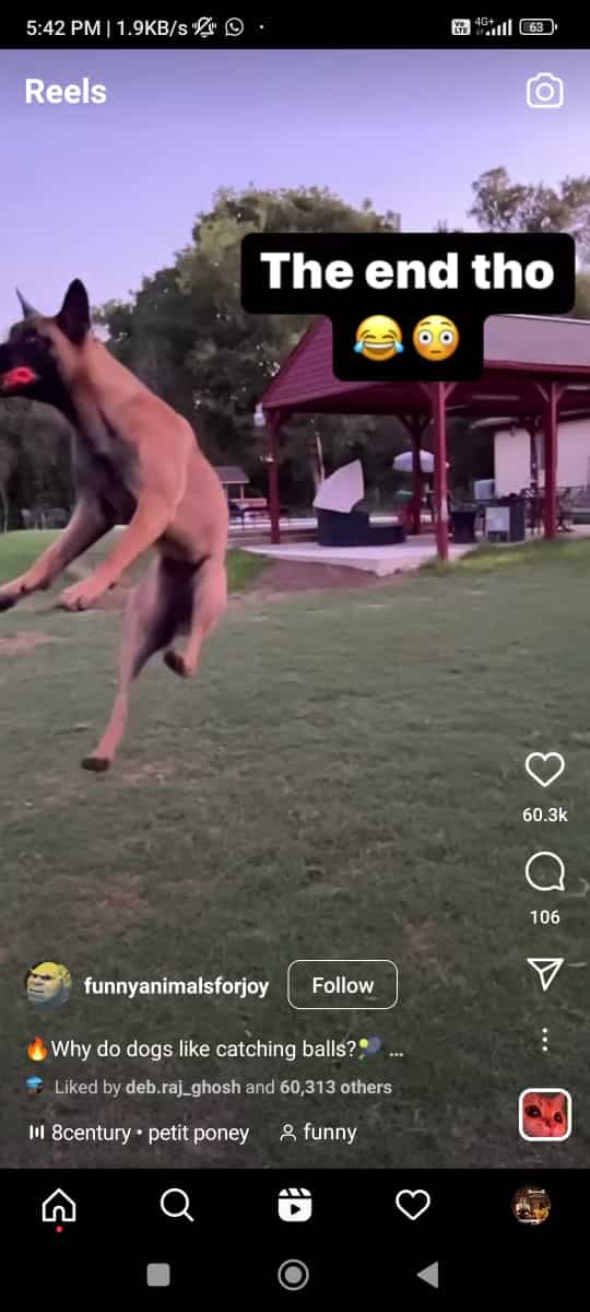 Instagram reel with music