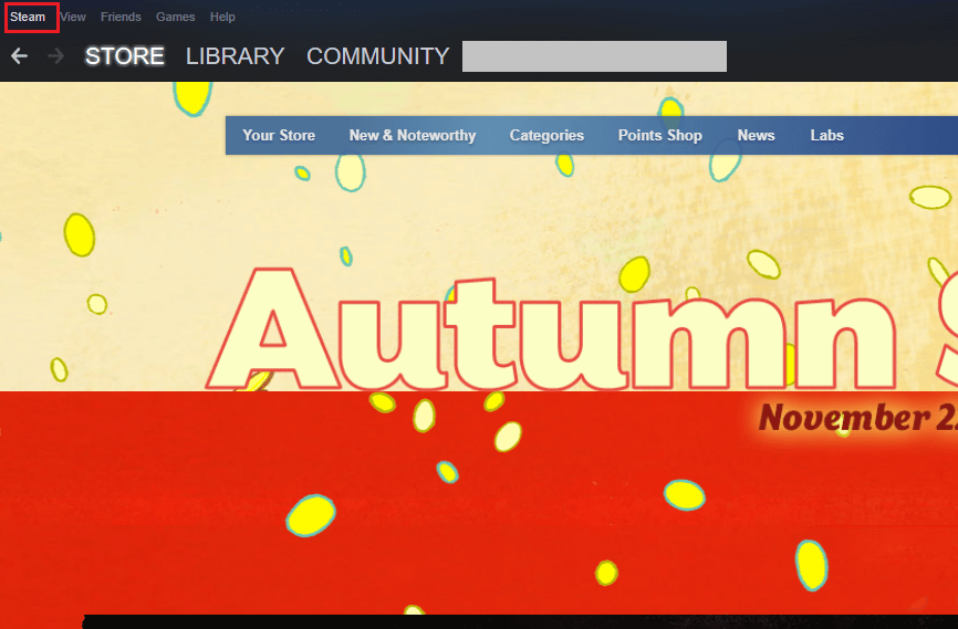 Steam option on Steam