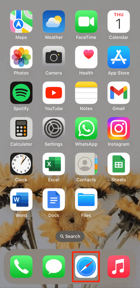 open the Safari app on your iPhone