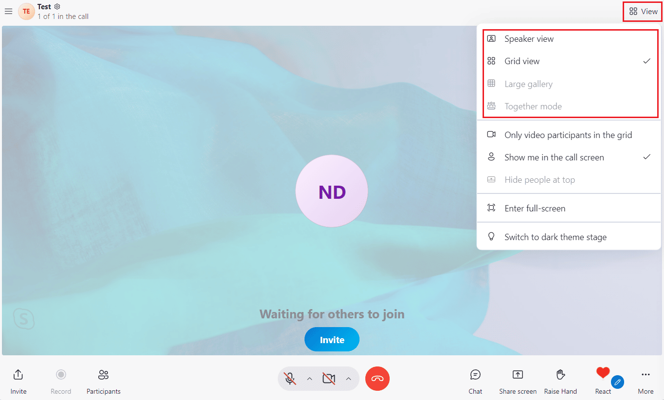 View tab - Speaker view, Grid view, Large gallery, and Together mode