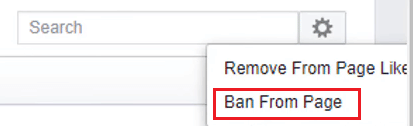 click on Ban From Page | How to Block Someone on Facebook Business Page