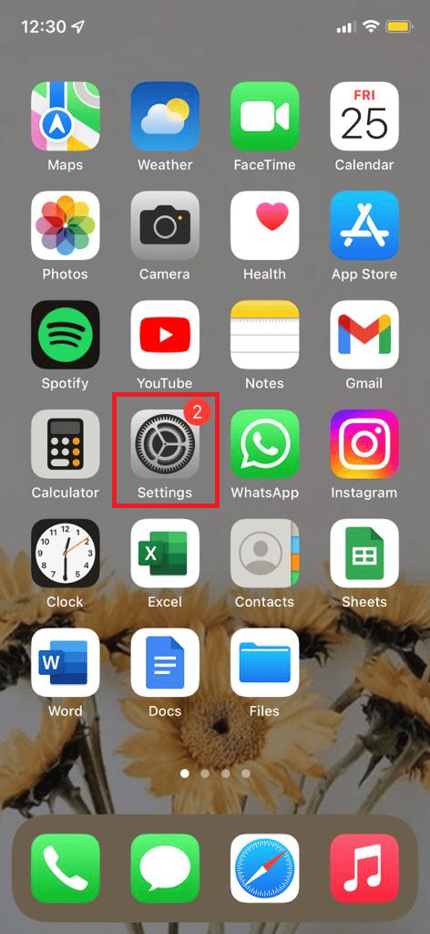 settings option on iphone. 10 Ways to Fix Powerbeats Pro Not Charging