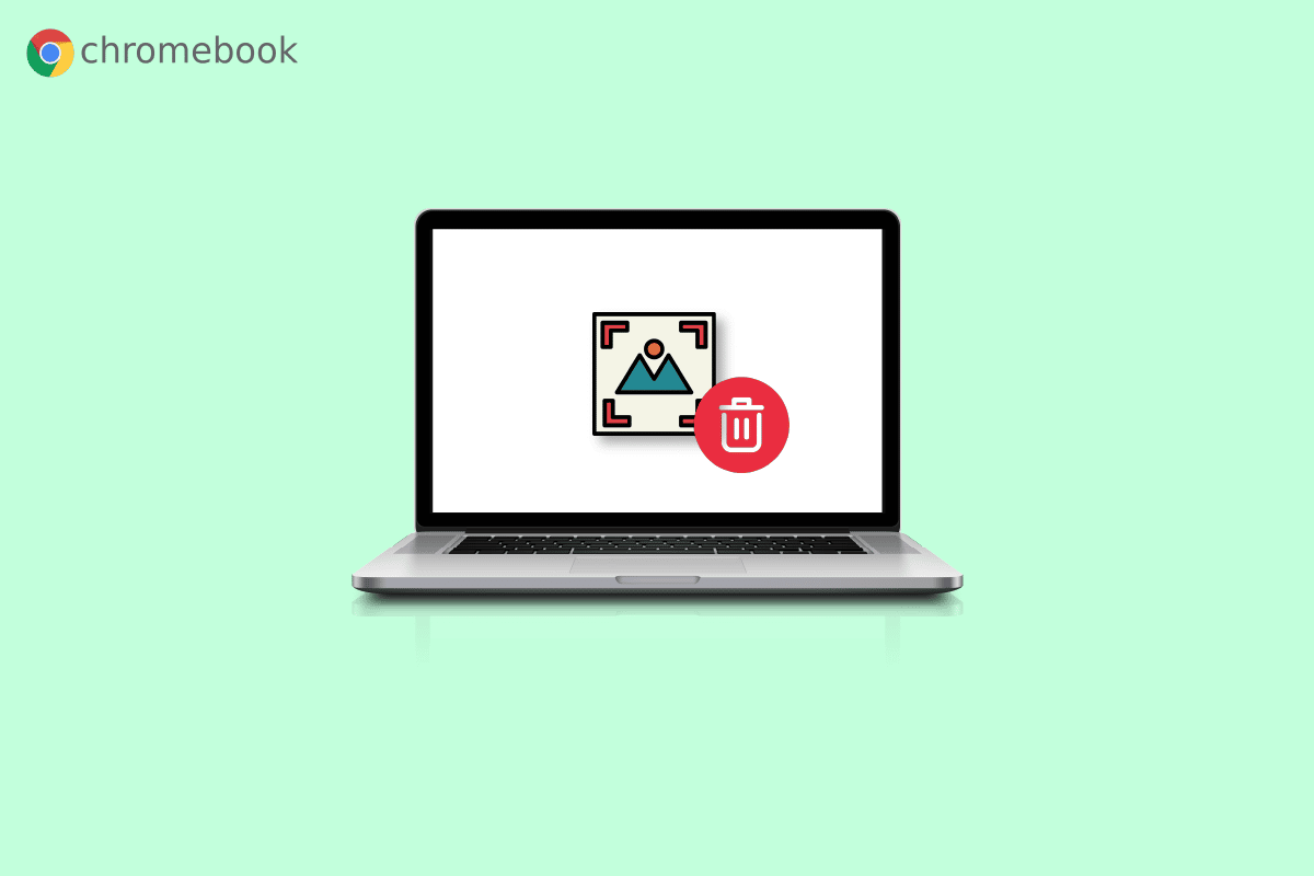 How to Delete Images on Chromebook Read Only