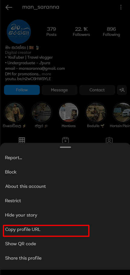 Tap on Copy profile URL.