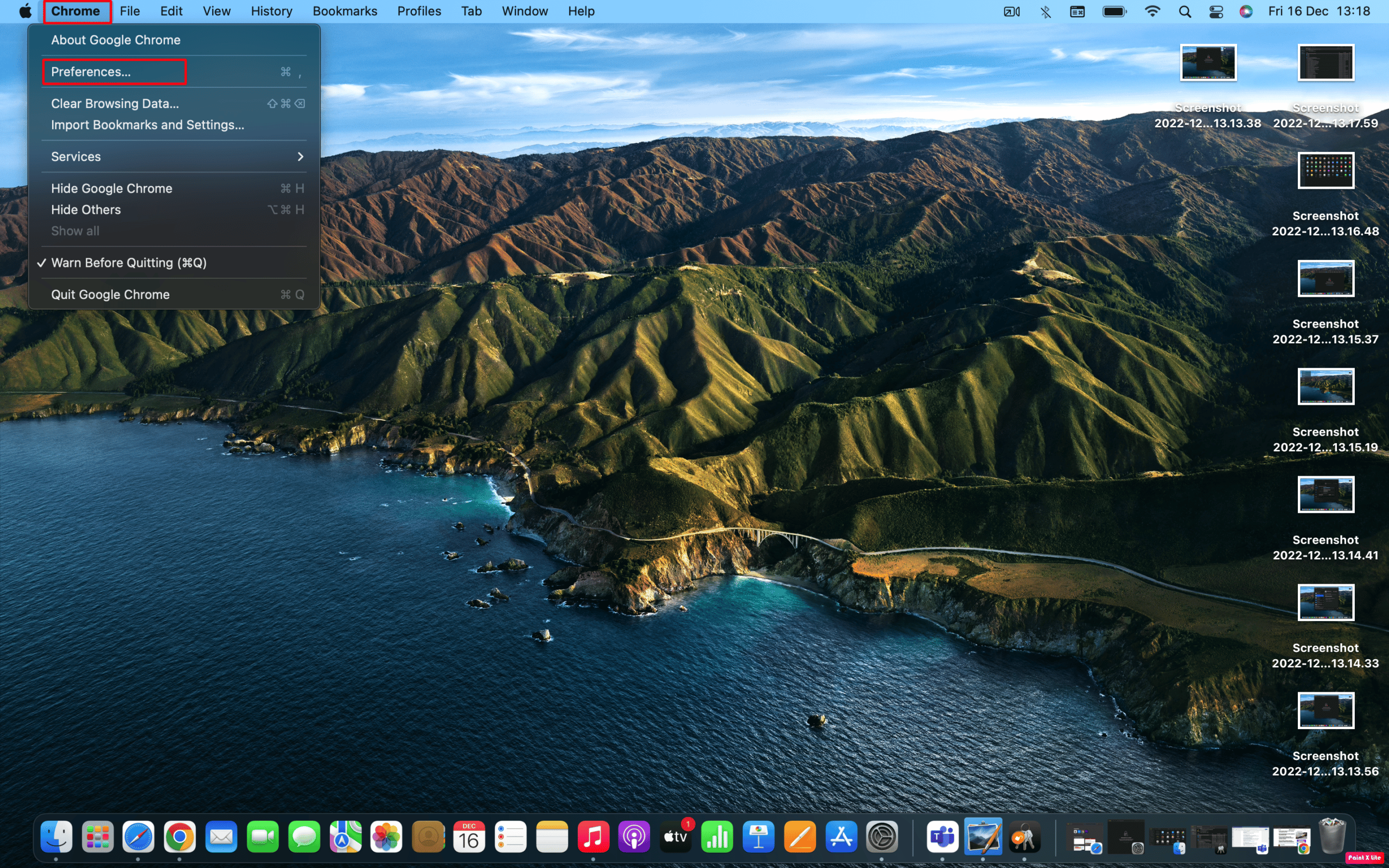 choose preferences option | Where to Find Passwords on Mac?