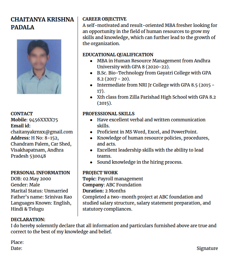 Aesthetic google doc resume template free download