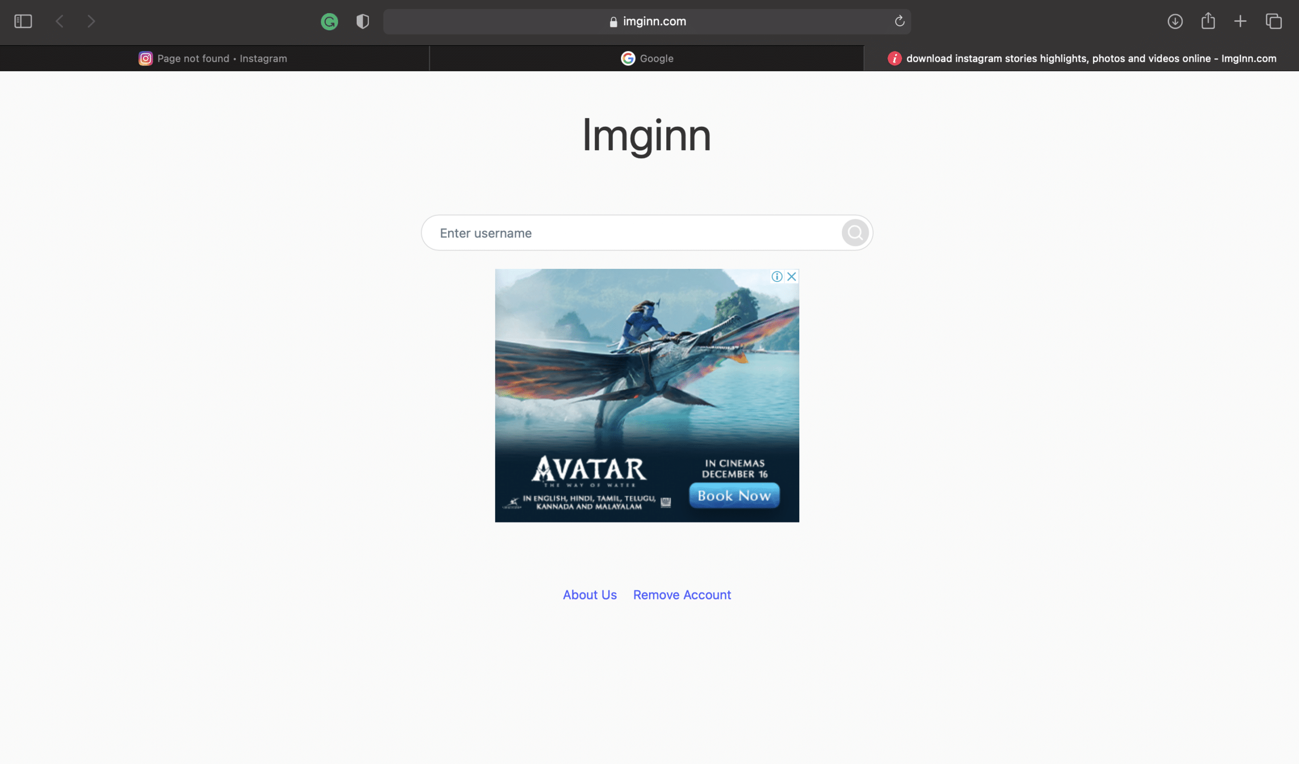 Imginn website | 